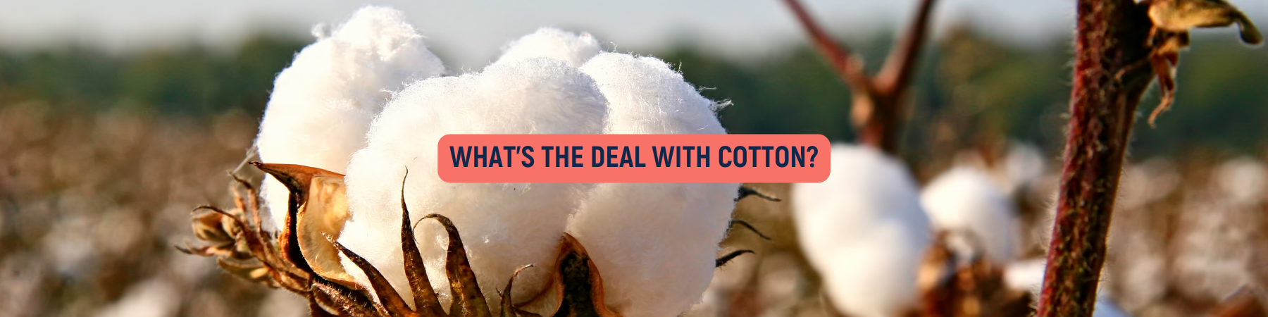 The negative impacts of cotton header